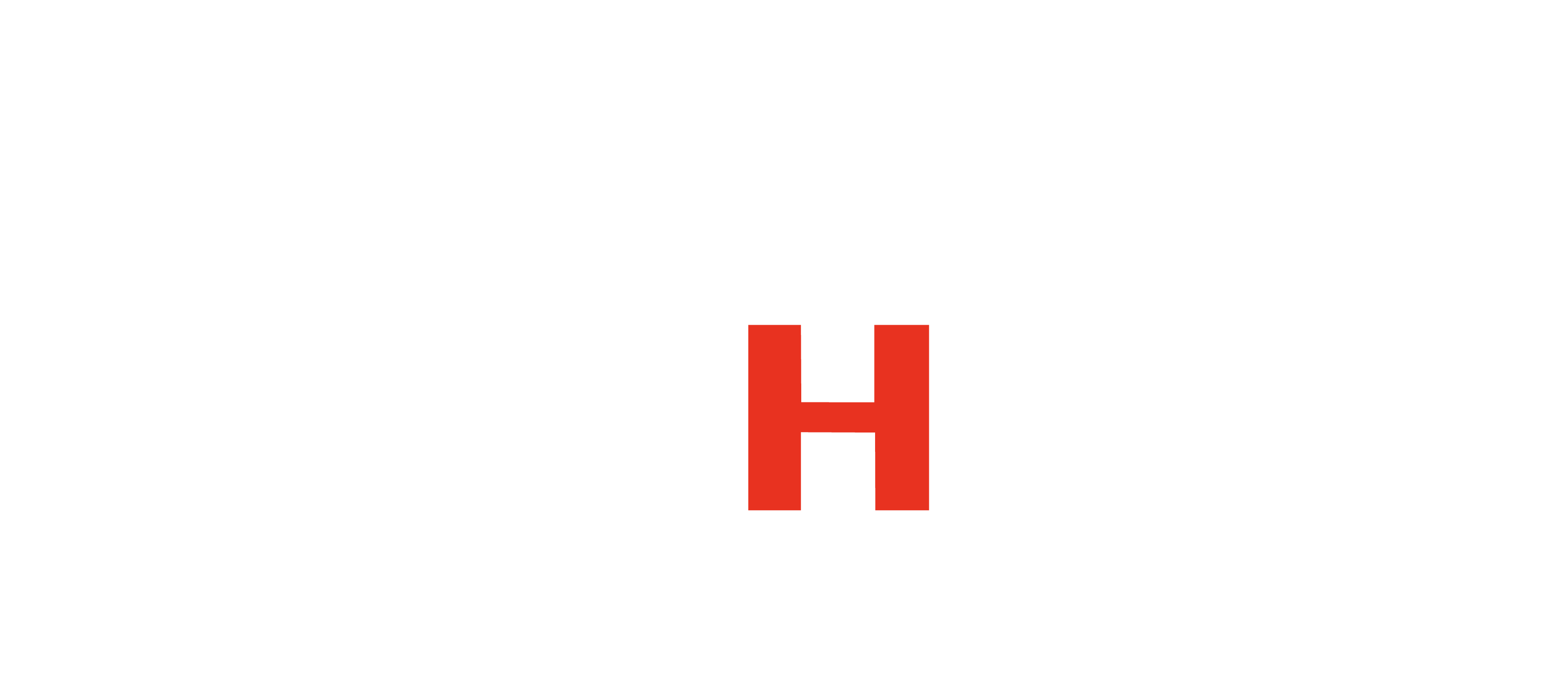 BlackHawk Security Services
